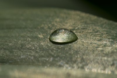 Waterdrop