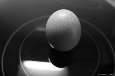 Egg B&W