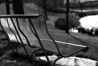 L'attente du banc