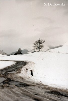 Un chemin dans la neige