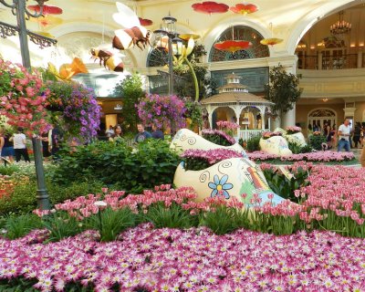Flowers in the Bellagio