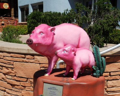 Javalinas