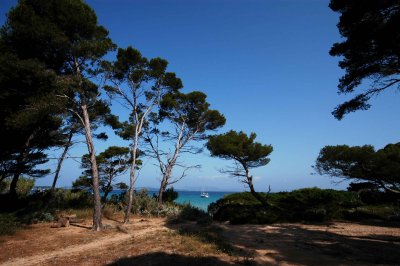 Porquerolles7.jpg