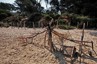 Porquerolles9.jpg