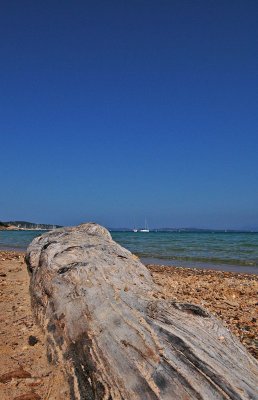 Porquerolles15.jpg