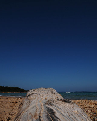 Porquerolles16.jpg