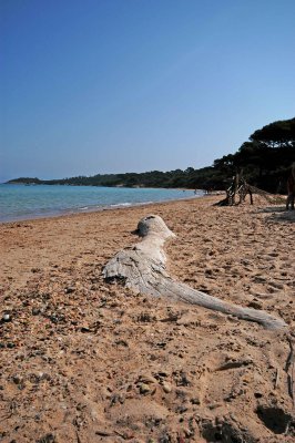 Porquerolles17.jpg