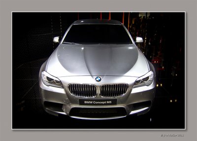 IMG_0337 copie.jpg