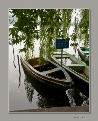 _JMH6336-33 copie.jpg