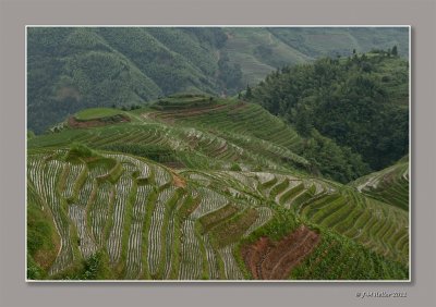 _JMH7533-120 copie.jpg