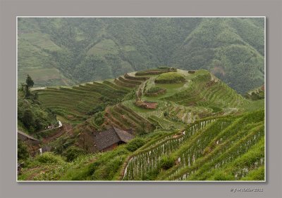 _JMH7547-124 copie.jpg