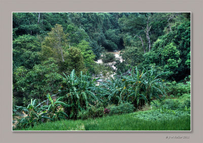 _JMH1698_tonemappé-2-14 copie.jpg