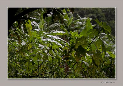 _JMH1709-19 copie.jpg