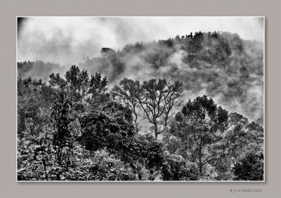 _JMH1721-1_HDR-Modifier-2 copie.jpg