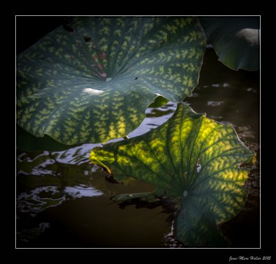 _JMH2914-7-8.jpg