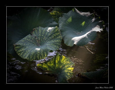 _JMH2915-8-9.jpg