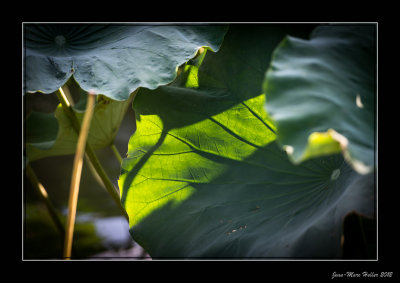 _JMH2923-13-14.jpg