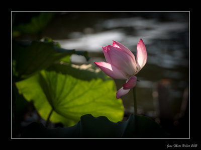 _JMH2927-15-16.jpg