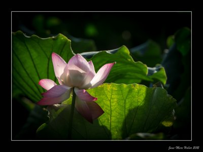 _JMH2934-19-20.jpg