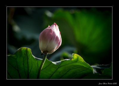 _JMH2935-20-21.jpg