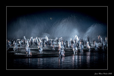 West Lake Night Performance