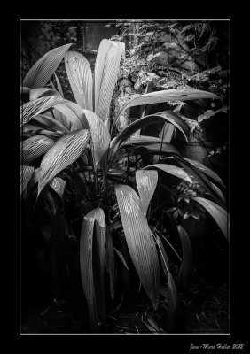 _JMH6053-13-13.jpg