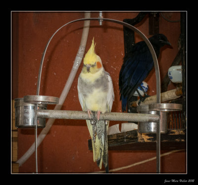 IMG_0322-9-9.jpg