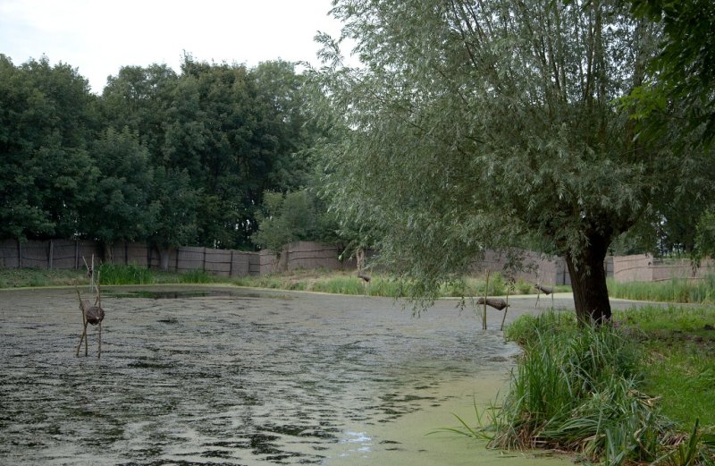 Aalkeetbuiten_2923