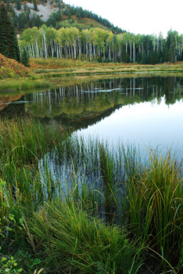 Pond along the Ruby-Anthracite trail