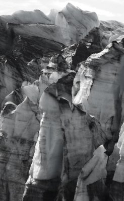 Reid Glacier