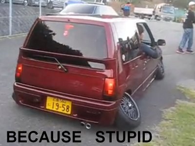 stupid.bmp