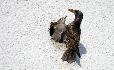 In freudiger Erwartung!