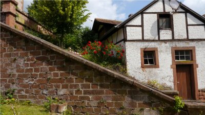 Rumbach 716