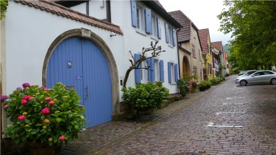Rhodt unter Rietburg  832