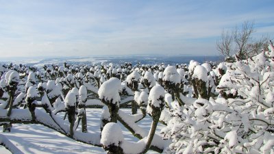Gallery: Winter im Siebengebirge