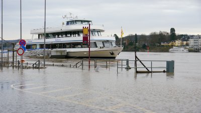 Gallery:Hochwasser in Niederdollendorf 