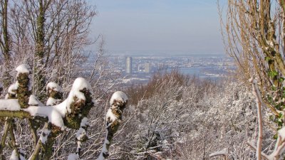 Blick vom Petersberg auf Bonn