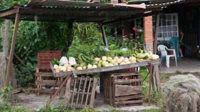 Chayote and other vegetables for sale