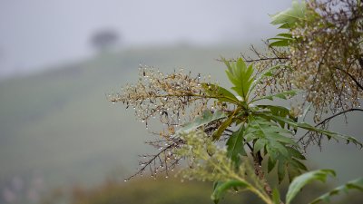 Gallery: Landscape of Costa Rica