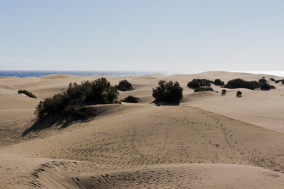 Dunes de Maspalomas