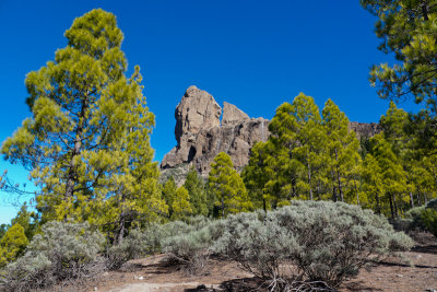 Roque Nublo