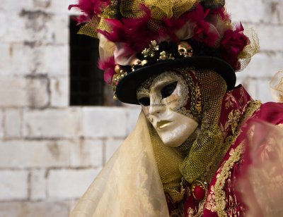Thierry - Venice Carnival 2012 