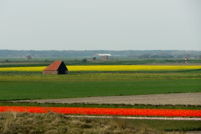 Texel