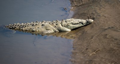 Rio Grande de Tárcoles