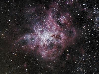 NGC2070 repro.jpg