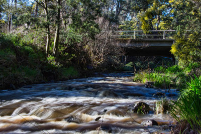 Tassie Trip 2012 12 of 13.jpg