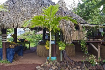 Hana Farms