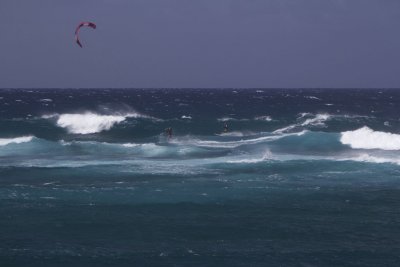 surfers