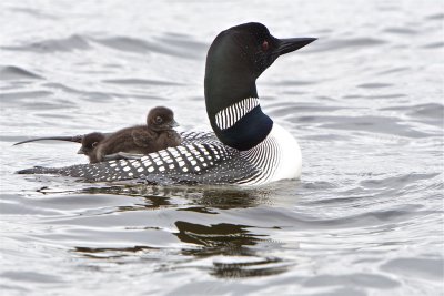 Mom and kids