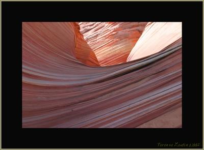 wave 0331.JPG